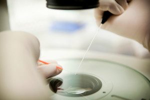 Äggfrysning Nordic IVF Center